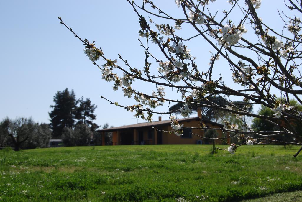 Casa Vacanze Vigna Di Valle Bracciano (Rome) Quarto foto