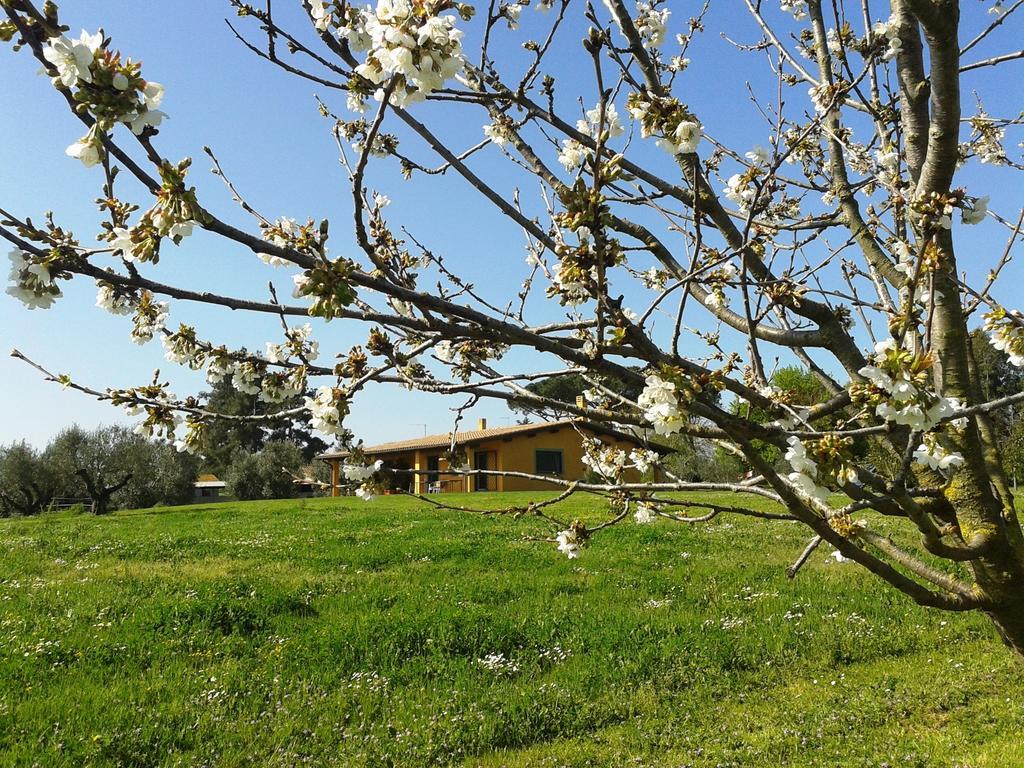 Casa Vacanze Vigna Di Valle Bracciano (Rome) Exterior foto