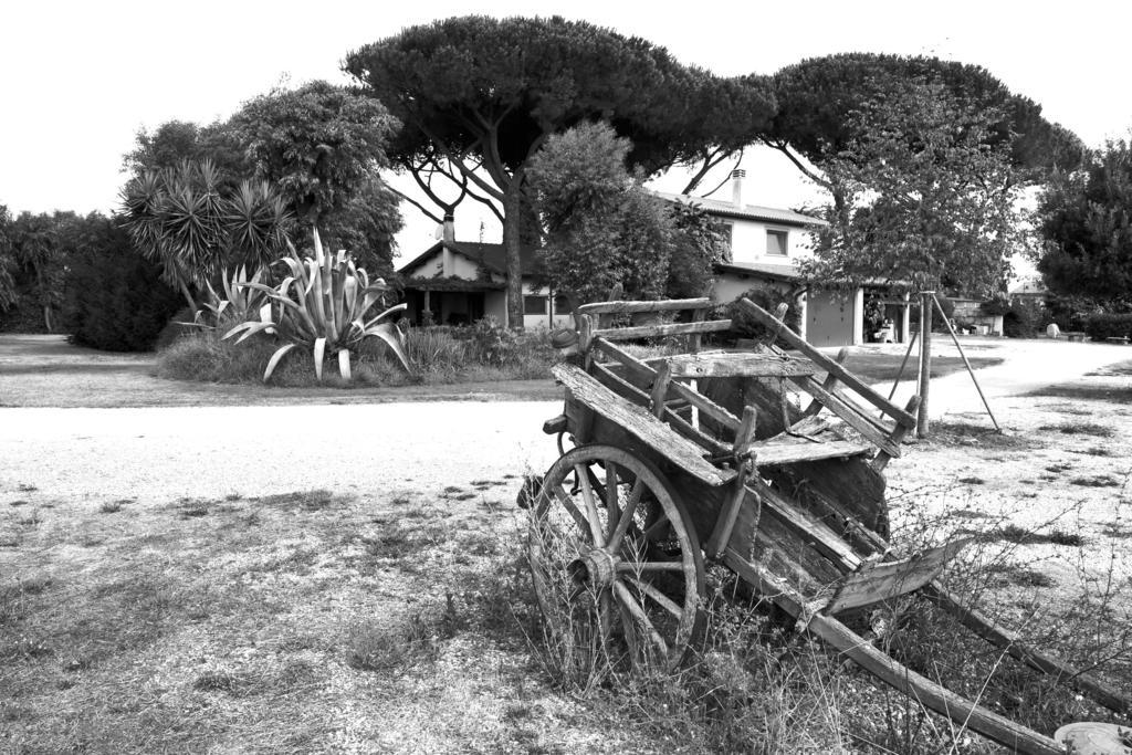 Casa Vacanze Vigna Di Valle Bracciano (Rome) Exterior foto